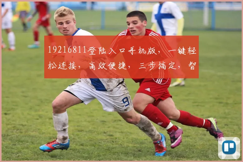 19216811登陆入口手机版，一键轻松连接，高效便捷，三步搞定，智能上网体验