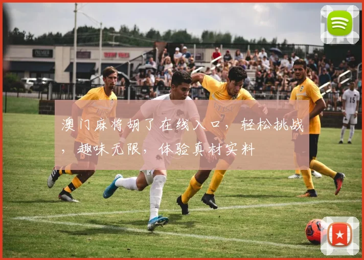 澳门麻将胡了在线入口，轻松挑战，趣味无限，体验真材实料