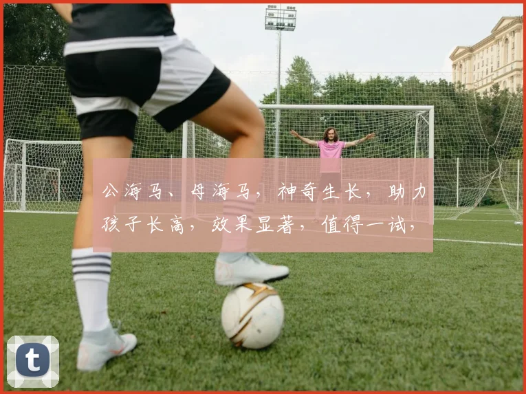 公海马、母海马，神奇生长，助力孩子长高，效果显著，值得一试，三个选择，谁更神奇